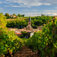 Saint Julien, Region Beaujolais, Burgund, Frankreich