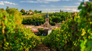Saint Julien, región de Beaujolais, Borgoña, Francia