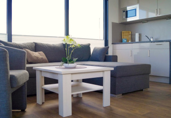 Moderne leefruimte op woonboot 'Luisa' met grijze zetel, salontafel en kitchenette in Duitsland.