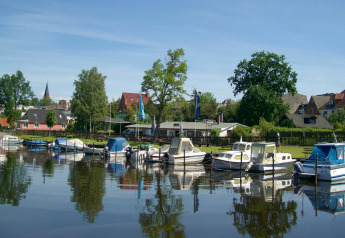 Hausboote und kleine Boote liegen im ruhigen Hafen von Ribnitz-Damgarten, umgeben von Bäumen und Häusern.