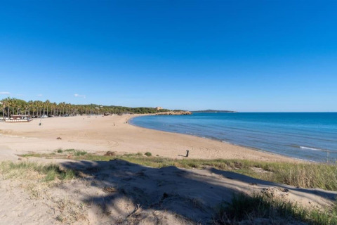 Plage de sable avec mer bleue et palmiers au Tamarit Park Resort 2 PATIO en Espagne, ciel dégagé.