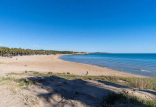 Plage de sable avec mer bleue et palmiers au Tamarit Park Resort 2 PATIO en Espagne, ciel dégagé.