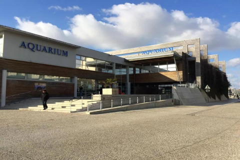 Modern aquarium building with large windows and 'AQUARIUM' signs, set against a bright blue sky.