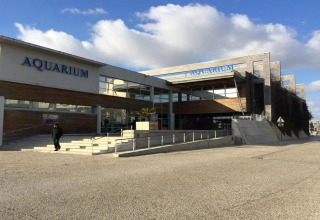 Modern aquarium building with large windows and 'AQUARIUM' signs, set against a bright blue sky.