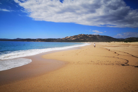 Persona caminando sola por una playa desierta cerca de Résidence U Livanti Belvédère Campomoro, Francia, con colinas al fondo.