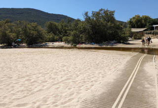 Playa de arena con pasarela y árboles cerca de Résidence U Livanti Belvédère Campomoro en Francia.