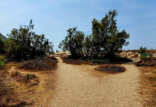 Sendero arenoso se divide entre árboles cerca del chalet Résidence U Livanti Belvédère Campomoro, Francia.