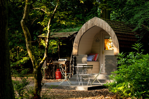 Daisy Glamping Pod in een Brits bos, met een knus terras en tuinmeubilair in het zonlicht.