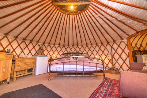 Cozy interior of Bramble Yurt in the United Kingdom, featuring a bed, rug, and comfortable furniture.