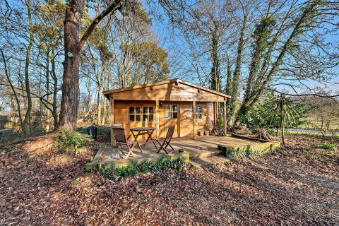 Wooden chalet named Woodland Lodge with terrace and chairs, nestled in a forest clearing on a sunny day.