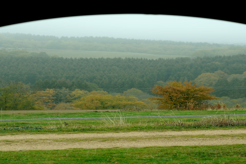 Uitzicht op groene bossen vanuit een chalet in Waldferienpark Gerolstein 2, Duitsland, op een mistige dag.