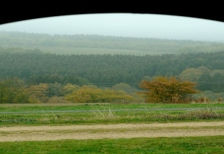 Uitzicht op groene bossen vanuit een chalet in Waldferienpark Gerolstein 2, Duitsland, op een mistige dag.
