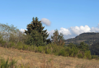 Heuvelachtig landschap met bomen en blauwe lucht bij chalet Waldferienpark Gerolstein 2 in Duitsland.
