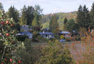 Zicht op Waldferienpark Gerolstein 2 in Duitsland, met omliggende bomen en charmante chalets.