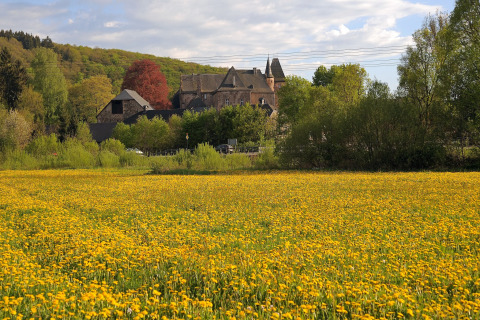 Uitzicht op een weide met gele bloemen bij chalet 'Waldferienpark Gerolstein 2' in Duitsland.