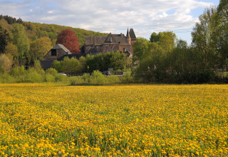 Uitzicht op een weide met gele bloemen bij chalet 'Waldferienpark Gerolstein 2' in Duitsland.