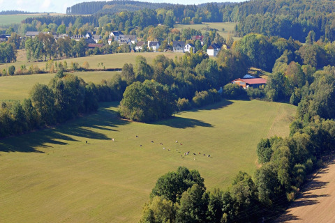 Uitzicht op groene weiden, bomen en huizen bij Waldferienpark Gerolstein 2 in Duitsland.