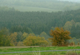 Zicht op groene weide en dicht bos vanop chalet Waldferienpark Gerolstein 2 in Duitsland op een mistige dag.