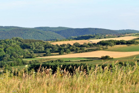 Uitzicht op groene heuvels en velden bij Waldferienpark Gerolstein 2 in Duitsland, met bomen en blauwe lucht.