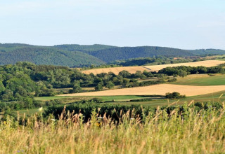 Uitzicht op groene heuvels en velden bij Waldferienpark Gerolstein 2 in Duitsland, met bomen en blauwe lucht.