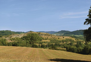 Zicht op glooiende heuvels en akkers bij Waldferienpark Gerolstein 2, Duitsland, onder een heldere hemel.