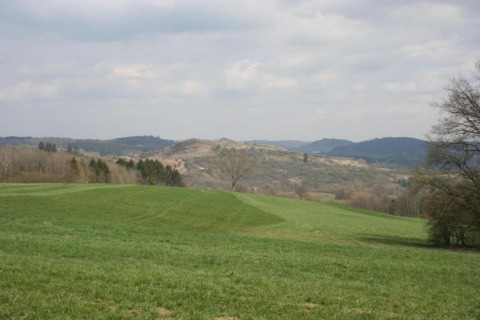 Zicht op groene heuvels en bossen vanaf Waldferienpark Gerolstein 2 in Duitsland onder een bewolkte hemel.
