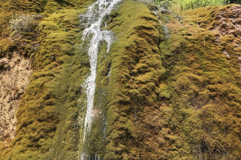 Foto van een mosbegroeide rotswand met een kleine waterval, gemaakt bij Waldferienpark Gerolstein 2, Duitsland.