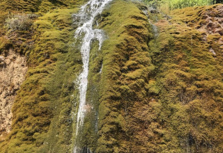 Foto van een mosbegroeide rotswand met een kleine waterval, gemaakt bij Waldferienpark Gerolstein 2, Duitsland.