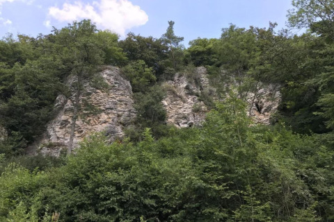 Uitzicht op beboste rotsen bij Waldferienpark Gerolstein 2, omgeven door dichte natuur in Duitsland