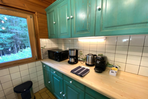 Kitchen at LE FISHING LODGE wooden chalet in France featuring green cabinets and a woodland view.