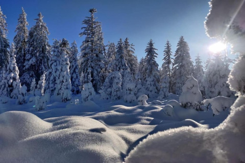 Foresta innevata e montagne di neve al sole vicino allo chalet Ronds Chetys in Francia.