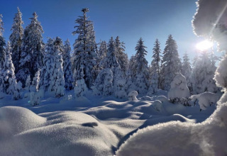 Foresta innevata e montagne di neve al sole vicino allo chalet Ronds Chetys in Francia.