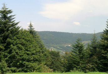 Blick auf bewaldete Hügel und Tannenbäume vom Chalet 'Ronds Chetys' in Frankreich bei klarem Himmel.