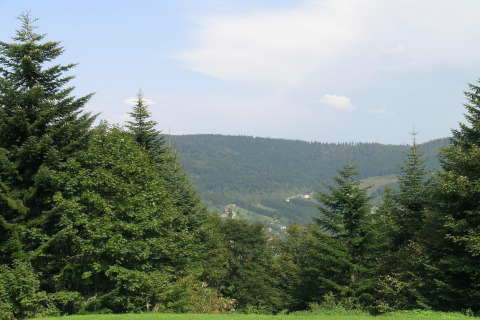 Vista su colline verdi e pini dal chalet 'Ronds Chetys' in Francia, sotto un cielo limpido.