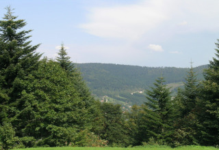 Vista su colline verdi e pini dal chalet 'Ronds Chetys' in Francia, sotto un cielo limpido.