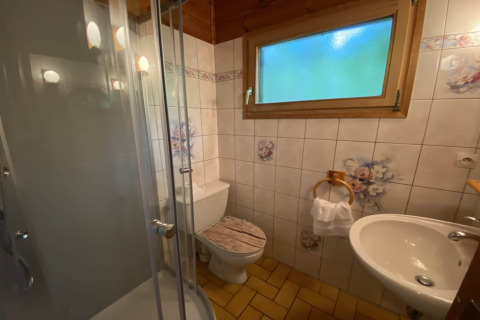 Badkamer in LE FISHING LODGE chalet in Frankrijk met douche, toilet, wastafel en bloemmotief tegels.