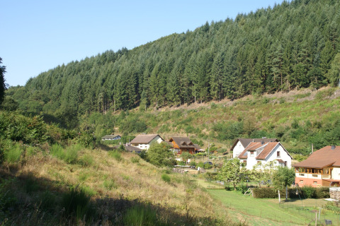 Vista degli chalet «Ronds Chetys» in Francia, immersi tra colline verdi e paesaggi boschivi.