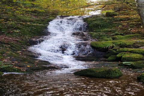 Una suggestiva cascata vicino allo chalet 'Ronds Chetys' in Francia, tra rocce muschiose e alberi verdi.