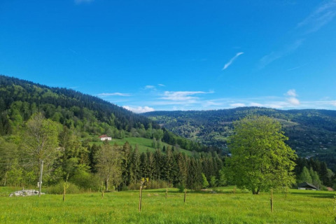 Vista delle colline verdi, alberi e una casa vicino allo chalet «Ronds Chetys» in Francia con cielo sereno.