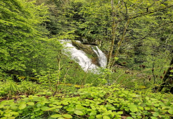 Ein Wasserfall strömt durch grüne Wälder bei der Hütte „Ronds Chetys“ in Frankreich, umgeben von Natur.