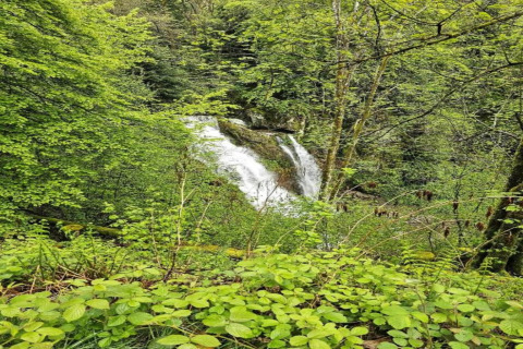 Cascata immersa in una foresta verde vicino allo chalet 'Ronds Chetys' in Francia durante la primavera.