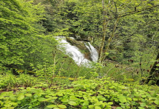 Cascata immersa in una foresta verde vicino allo chalet 'Ronds Chetys' in Francia durante la primavera.