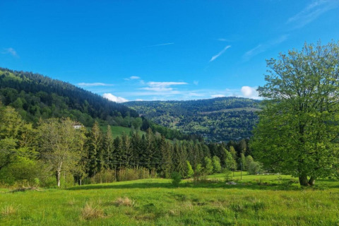 Vista dal chalet 'Ronds Chetys' in Francia, con colline verdi, alberi e cielo blu sereno.