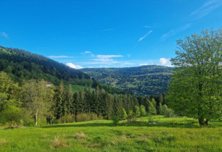 Vista dal chalet 'Ronds Chetys' in Francia, con colline verdi, alberi e cielo blu sereno.