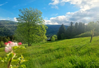 Hügelige Landschaft am Chalet Ronds Chetys in Frankreich mit grünen Wiesen, Bäumen und blauem Himmel.