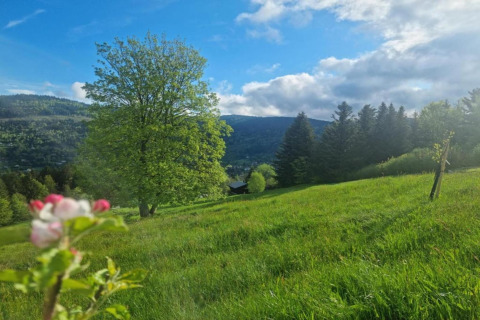 Paesaggio collinare presso lo chalet Ronds Chetys in Francia con prati verdi, alberi e cielo nuvoloso.