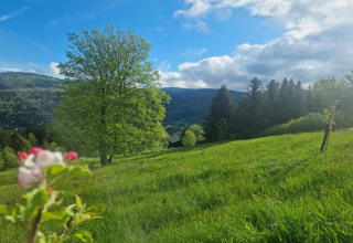 Paesaggio collinare presso lo chalet Ronds Chetys in Francia con prati verdi, alberi e cielo nuvoloso.