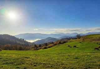 Vista soleggiata dal Chalet Ronds Chetys in Francia con mucche al pascolo e montagne sullo sfondo.