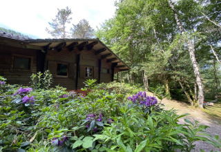 Houten chalet temidden van paarse bloemen en bomen, LE FISHING LODGE met Nordic Bath in Frankrijk.
