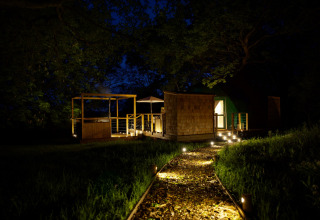 Illuminated path leading to Chartwell Luxury Dome, a luxury glamping experience in natural UK woodland setting.
